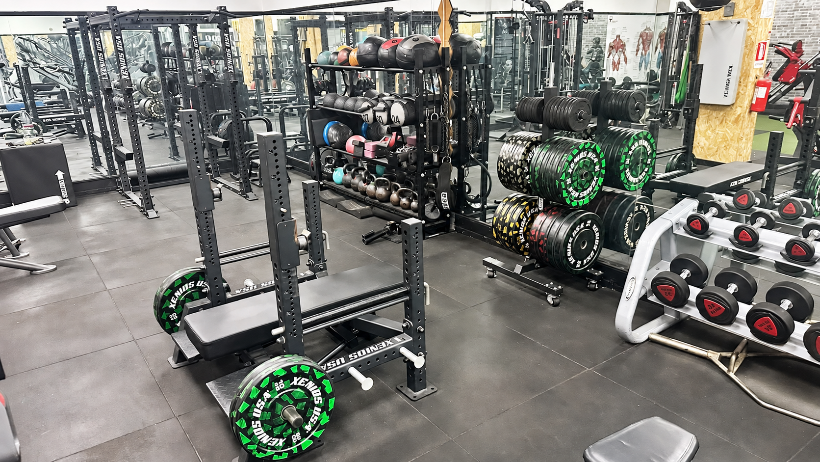 Sala pesi Body Club Via Dante senza persone